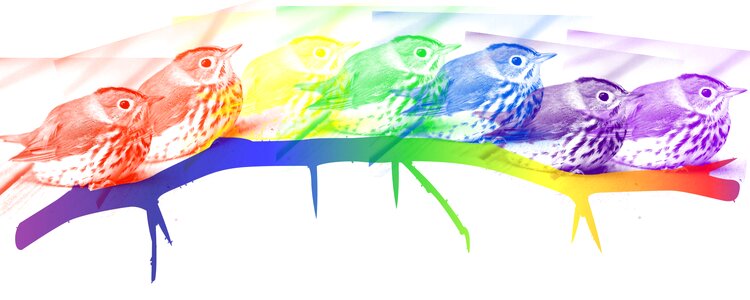 Rainbow beauty colors. Free illustration for personal and commercial use.
