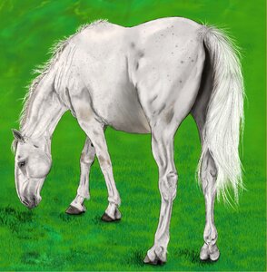 Drawing art grazing. Free illustration for personal and commercial use.