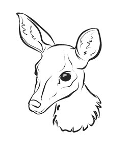 Monochrome line animal. Free illustration for personal and commercial use.