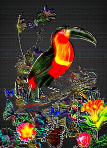 Jungle background toucan wall art Free illustrations. Free illustration for personal and commercial use.