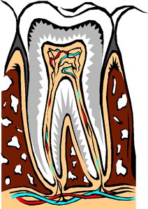 Dentist dentistry Free illustrations. Free illustration for personal and commercial use.