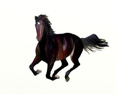 Horses reiter mare. Free illustration for personal and commercial use.