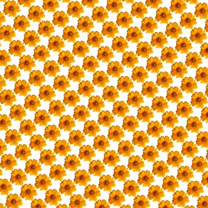 Flower orange background orange flower. Free illustration for personal and commercial use.