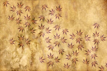 Leaves leaf marijuana. Free illustration for personal and commercial use.