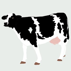 Farm dairy livestock. Free illustration for personal and commercial use.