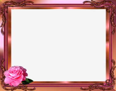 Design pink rose Free illustrations. Free illustration for personal and commercial use.