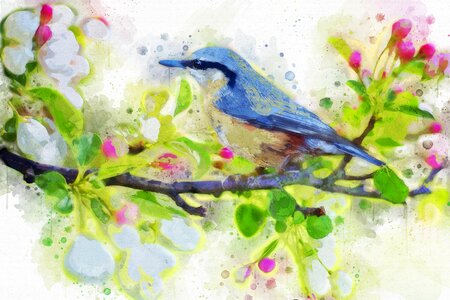 Blue flowering tree nature. Free illustration for personal and commercial use.