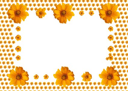 Orange frame orange sunflower Free illustrations. Free illustration for personal and commercial use.