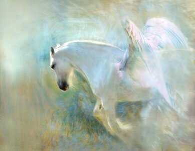 Shire horse pegasus. Free illustration for personal and commercial use.