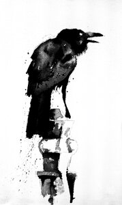 Crow bird Free illustrations. Free illustration for personal and commercial use.