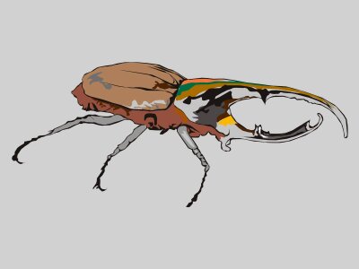 Beetle animal adobe. Free illustration for personal and commercial use.