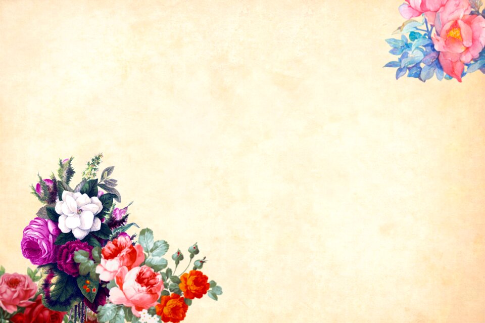 Floral border garden frame - Free Stock Illustrations | Creazilla