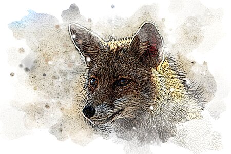 Fox animal gimp. Free illustration for personal and commercial use.