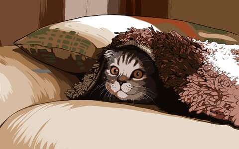 Pet blanket sweet. Free illustration for personal and commercial use.