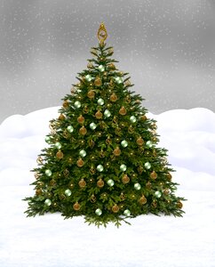 Snow spruce generous. Free illustration for personal and commercial use.