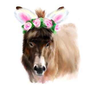 Pony mammal mule. Free illustration for personal and commercial use.