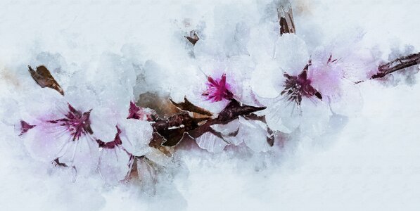 Flowering twig pink spring. Free illustration for personal and commercial use.
