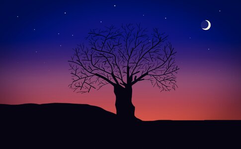 Night tree stars. Free illustration for personal and commercial use.