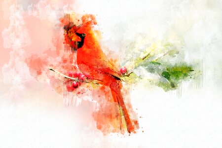 Art color abstract. Free illustration for personal and commercial use.