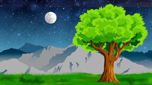 I forest background. Free illustration for personal and commercial use.