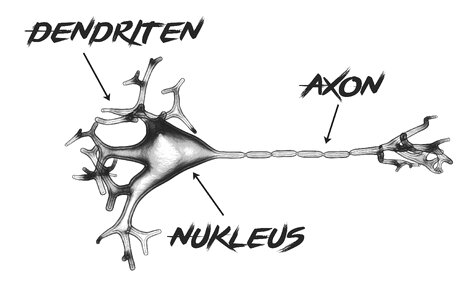 Axon brain Free illustrations. Free illustration for personal and commercial use.