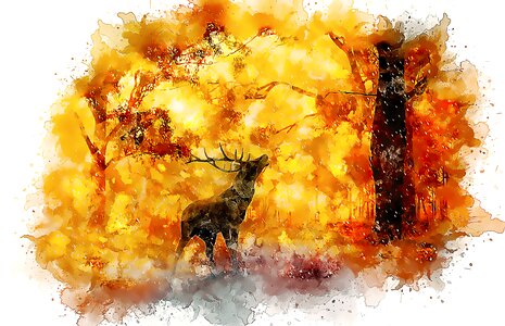 Antler nature forest. Free illustration for personal and commercial use.