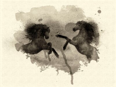 Horses nature Free illustrations. Free illustration for personal and commercial use.
