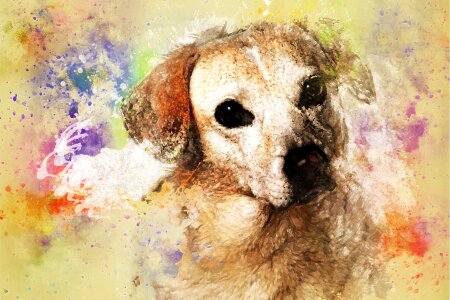 Art dog Free illustrations. Free illustration for personal and commercial use.
