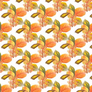 Autumn pattern orange leaf. Free illustration for personal and commercial use.