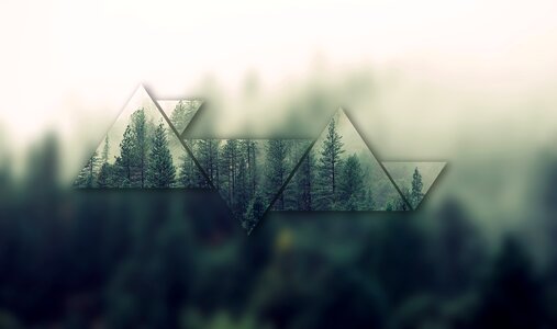Nature trees haze. Free illustration for personal and commercial use.