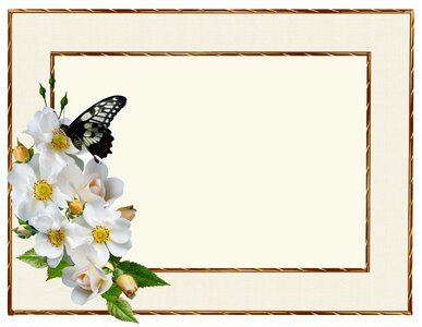 Insect frame Free illustrations. Free illustration for personal and commercial use.
