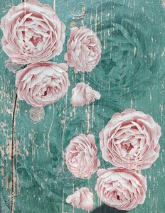 Distressed wood pink green. Free illustration for personal and commercial use.