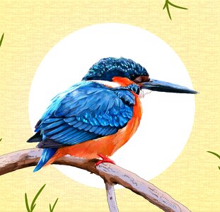 Beak animalia animal world. Free illustration for personal and commercial use.