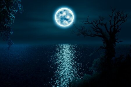 Moonlight night image manipulation. Free illustration for personal and commercial use.
