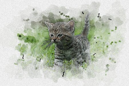 Aquarelle cat kitten. Free illustration for personal and commercial use.