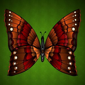Insect nature wing. Free illustration for personal and commercial use.