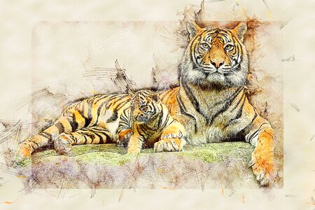 Cub predator animal. Free illustration for personal and commercial use.