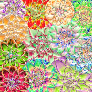 Collage dahlia blossom. Free illustration for personal and commercial use.