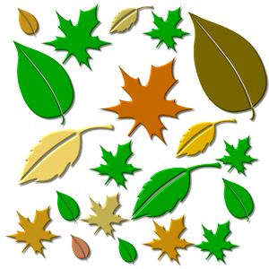 Fall foliage plant autumn. Free illustration for personal and commercial use.