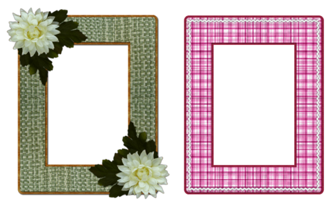 Frame feminine floral. Free illustration for personal and commercial use.