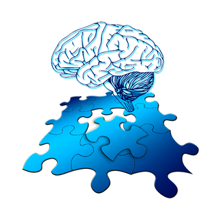 Brain thinking function. Free illustration for personal and commercial use.