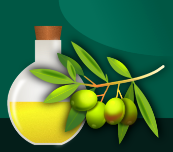 Olive grove oil kitchen. Free illustration for personal and commercial use.