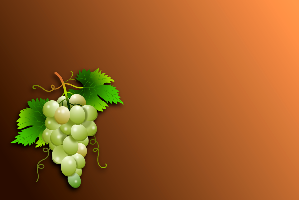 Wine orchard plants. Free illustration for personal and commercial use.