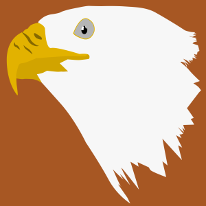 Animal head brown eagle. Free illustration for personal and commercial use.
