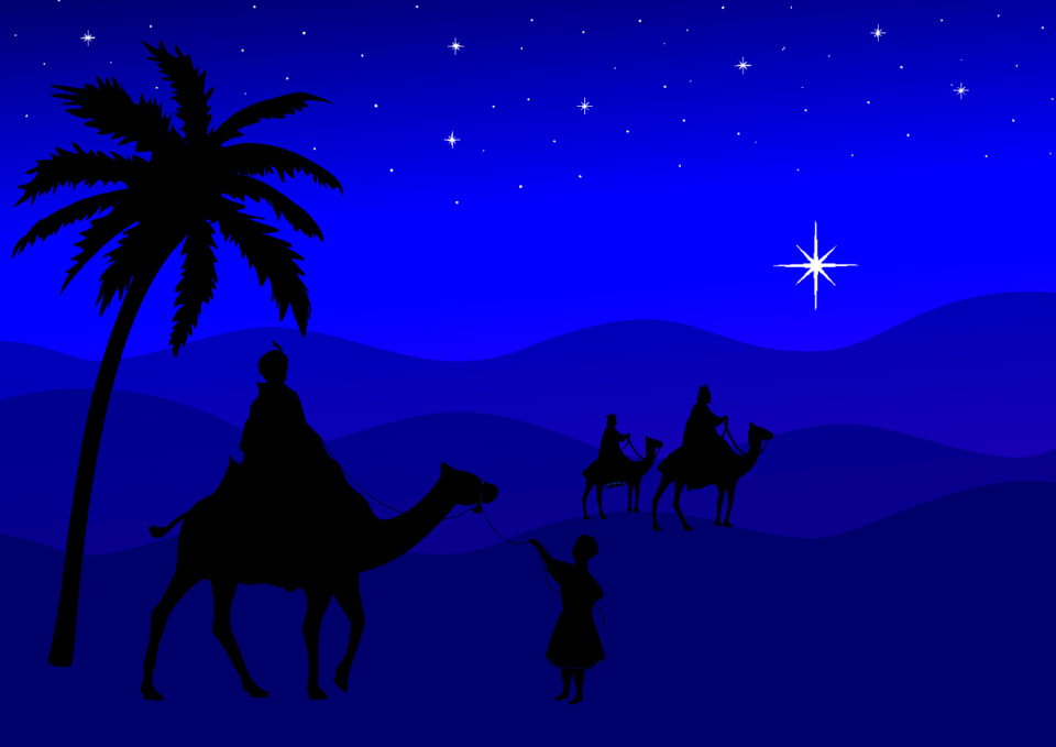 Camels palm night. Free illustration for personal and commercial use.