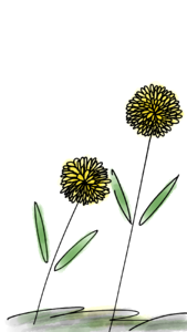 Yellow plant nature. Free illustration for personal and commercial use.