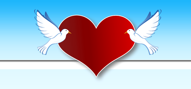 Affection peace dove relationship. Free illustration for personal and commercial use.