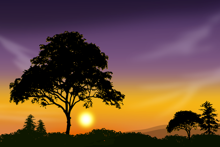 Nature sol trees. Free illustration for personal and commercial use.