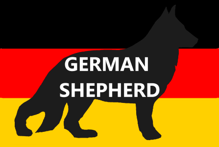 Akc alsatian berger allemand. Free illustration for personal and commercial use.