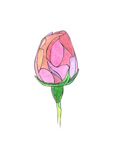 Pink rosebud drawin with crayons.. Free illustration for personal and commercial use.